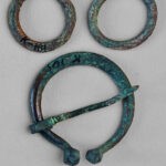 Асавец фібулы